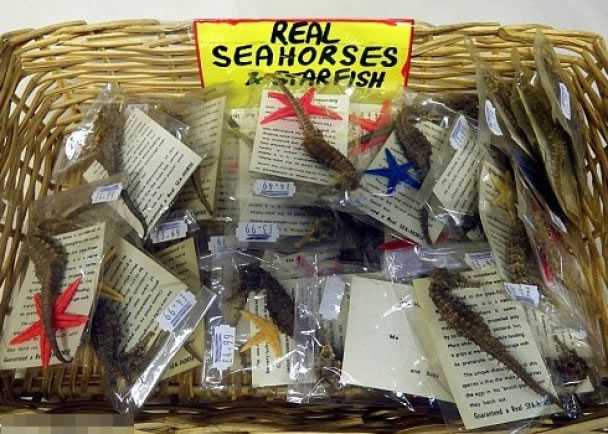 Ӣ�����ٺ��߶ȼ��������ۺ����걾������Ʒ��