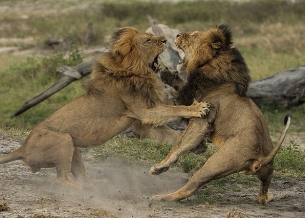 רָңǰĵѱʨռݡͼΪǰڴ򶷡