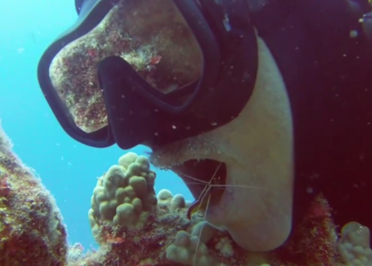 ���ϺΪǱˮԱ��ˢ����