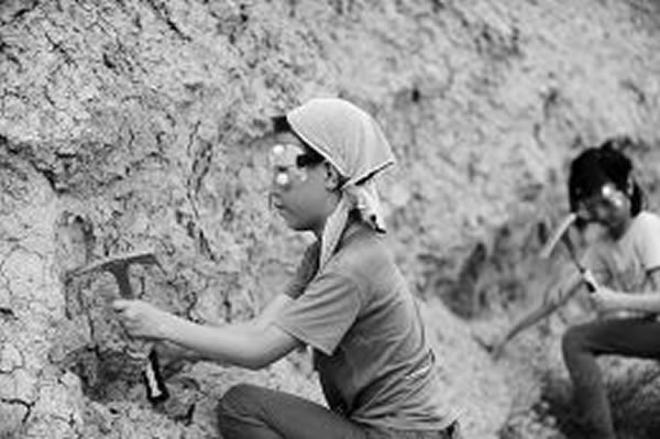 山西晚报化石探索之旅