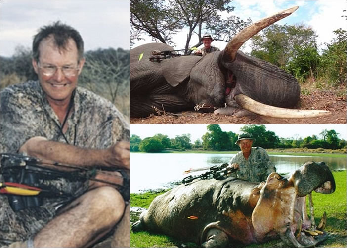 塞斯基(左)曾猎杀多种动物,包括大象(右上)及河马(右下)。