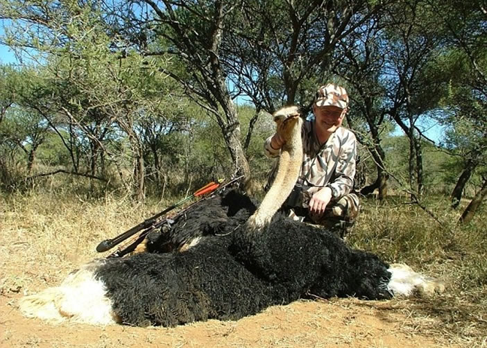 被塞斯基猎杀的动物包括鸵鸟
