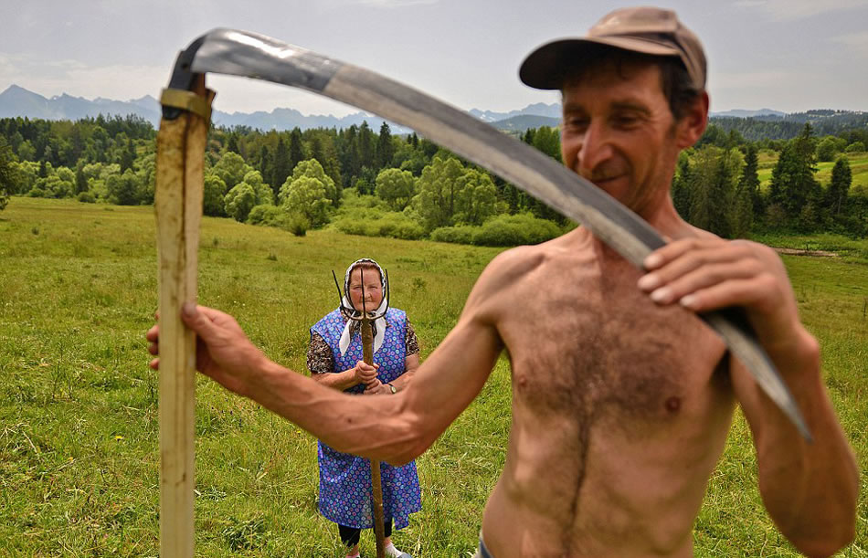 ������ͳ�ĸ�ɹ�ɲ�������������������Ȼʹ�������Ͳ��Ӹ�ɹ�ͷּ�ɲݡ�