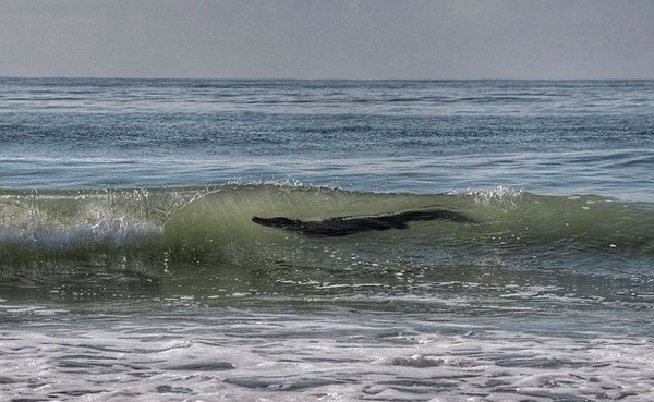 �����Ͽ��������ݲ���˹�����ӳ���Ŀ�����д�����