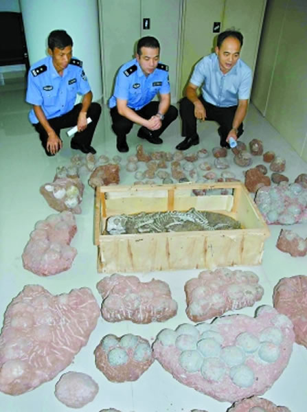 河源恐龙蛋化石流失黑市调查