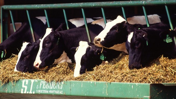 ���û������ɼ�����ţ�ļ����ŷ�