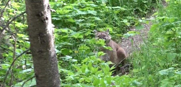 �����ڱ������ҹ�԰ͽ������������ʨ��·��� ������������