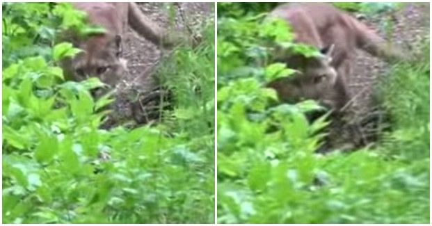 �����ڱ������ҹ�԰ͽ������������ʨ��·��� ������������