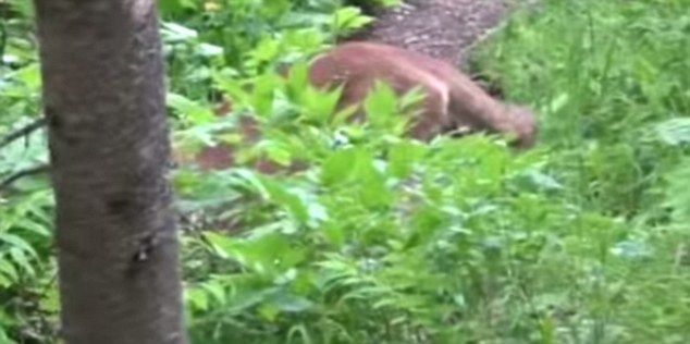 �����ڱ������ҹ�԰ͽ������������ʨ��·��� ������������