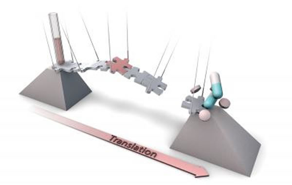 񾭱˼һϵиӵзƵתҽѧ;ۡӼѧз֤֡ٴǰȫԺ͹Чоٴ