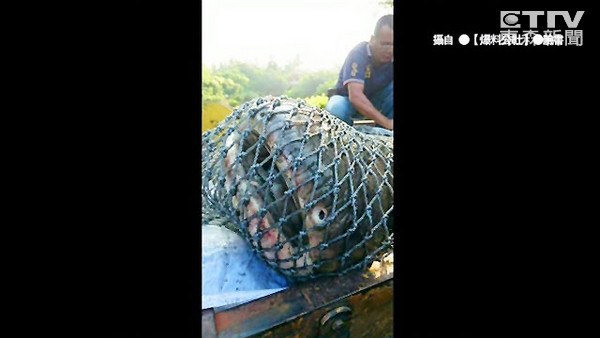 �����˾�裿̨������������������²���1�׳�����������