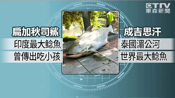 �����˾�裿�ɼ�˼������������������١�