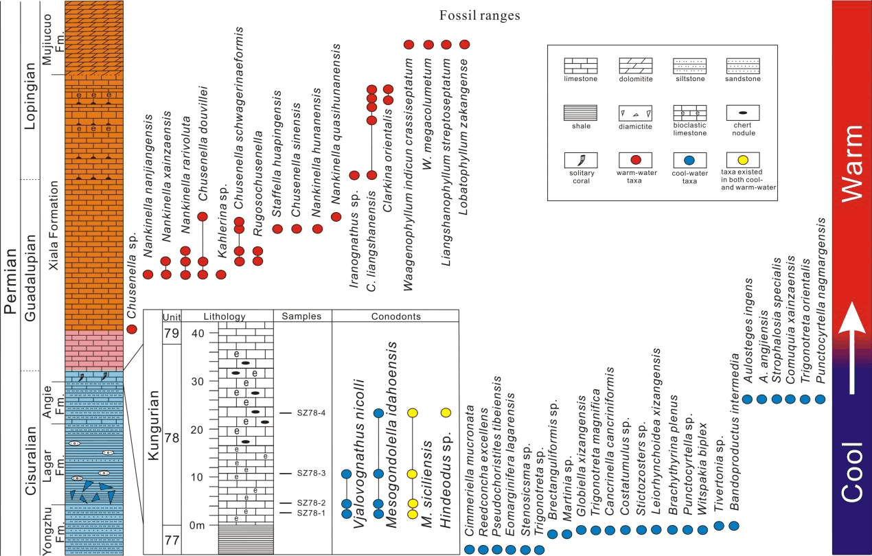 申扎地区多门类生物地层分布及古气候演化关系