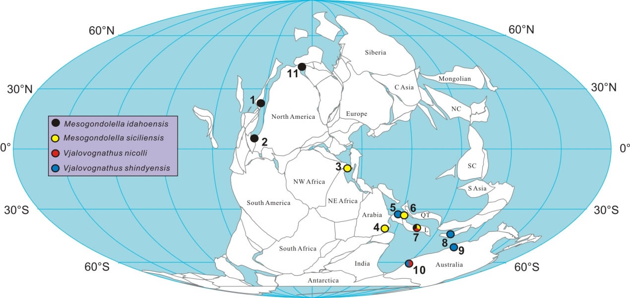 Vjalovognathus古地理分布图