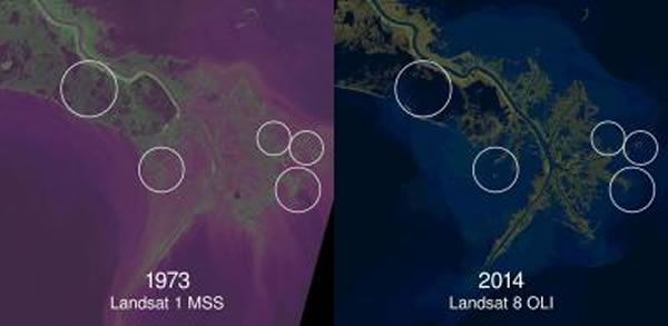 ��Landsat��SGS/NASA Landsat Program�����۲쵽���������Ⱥ������޵�Ϊ��40����ذ����غ�ʪ�ص�ɥʧ��
