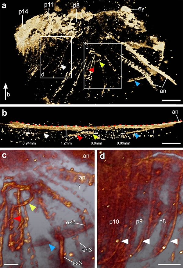 ΢CTaǰb,cۿ׼ϸŴ󣬣d߷Ŵ