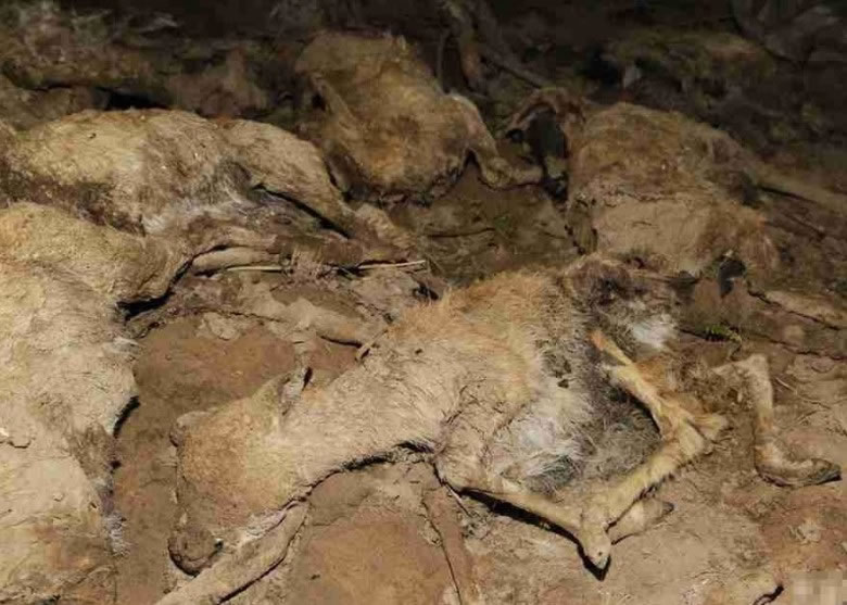 ��������ԭ�����类�������������ֳƴ�Ϊ�����귢�������һ�����������¼�����