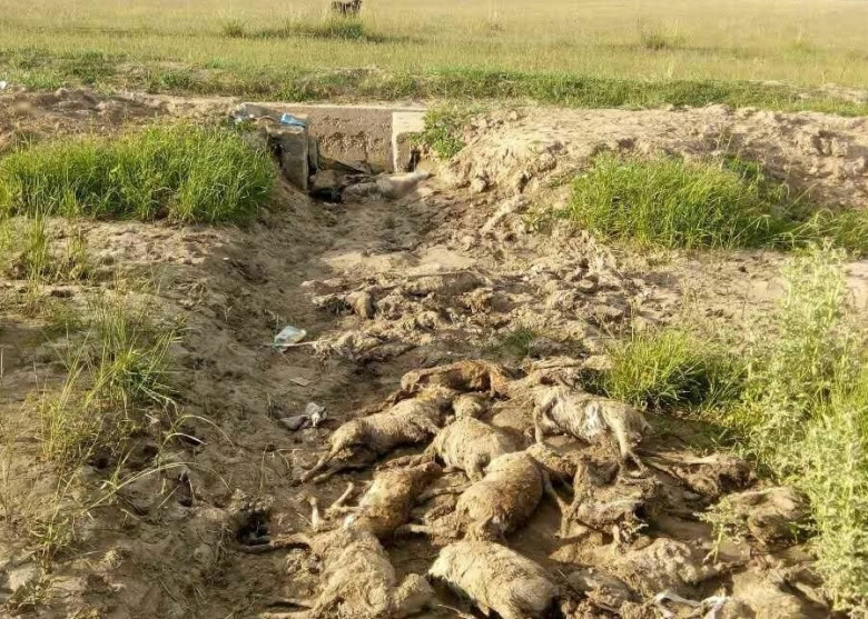 ����������ԭ�������ʬ��ˮ���Ա߼�����