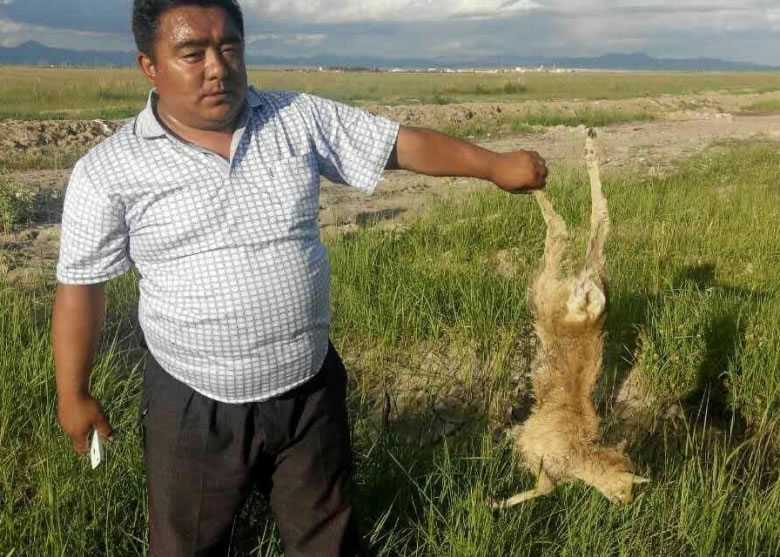 ־Ը�߼�������������ԭ������ʬ��