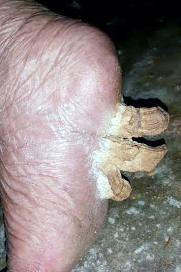 ��3����͡��żס��������ǡ�Ƥ�ǡ���