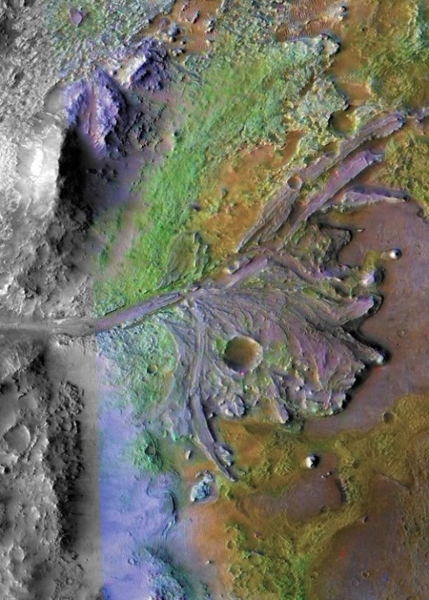 �κ�ʮ���ʺ�΢��������