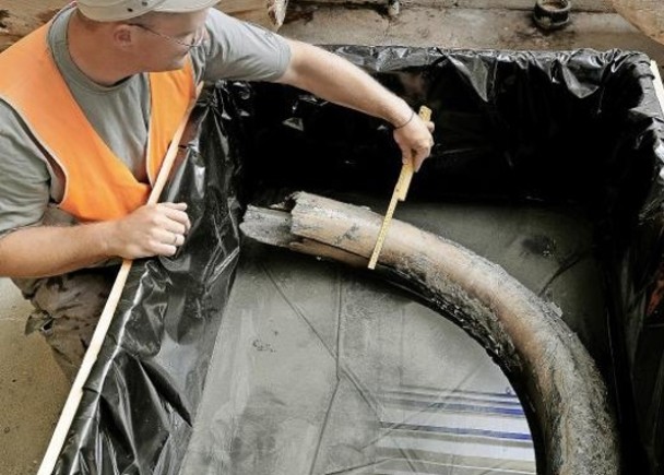 楚格州的一个地盘,发掘出多件长毛象骸骨。