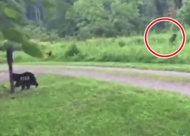 “大脚八”(红圈示)其后随即跑离现场。