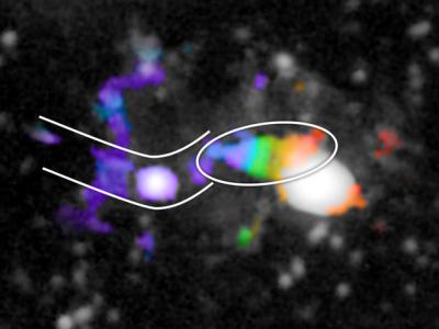 喀纳斯湖水怪可能是淡水鱼中大型食肉鱼类--哲
