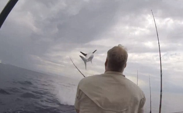 �������������ں���ʱ����һ�����ͻ�����ġ�������в��