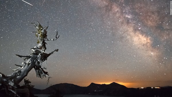 �������Ӣ���������꽫��8��12��13�ճ����ڱ�����ҹ��