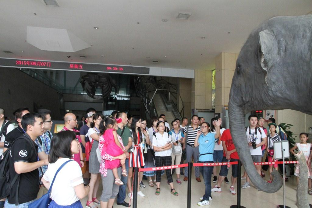 古脊椎动物与古人类学专业培训班:参观国家动物博物馆、中国古动物馆