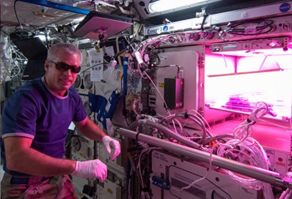 能自己供应食物有助于在太空长期的任务