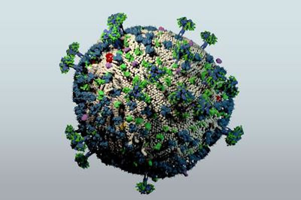 一项新研究发现,在母亲子宫中接触猴免疫缺陷病毒(猴类HIV)的猴子,它们在出生后可能能够更好地对抗这种病毒的感染。