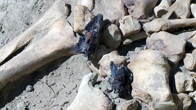 Ůսʿ�ź��������