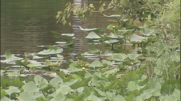 ���º�����������Ϣ