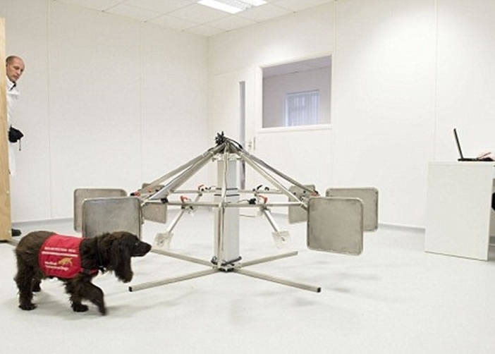 һֻ��ҽ�����Ȯ��������ѵ��