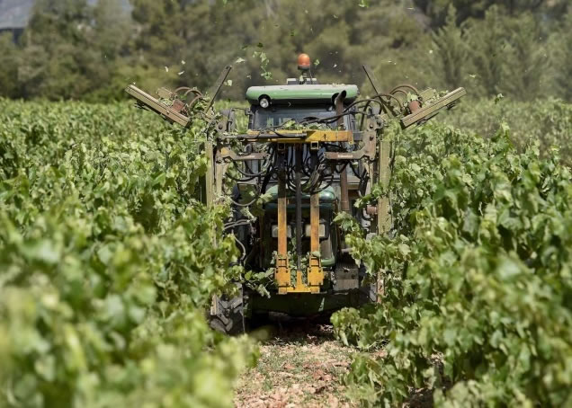 Cava������������̩�����ǵ���