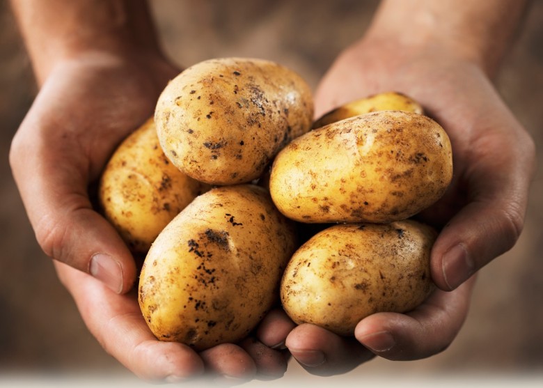 ר�ҷ��ֵȸ������ʵ�ʳ�������������Բ������ؼ���