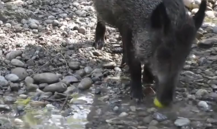 Ұ��ʮ��ע������