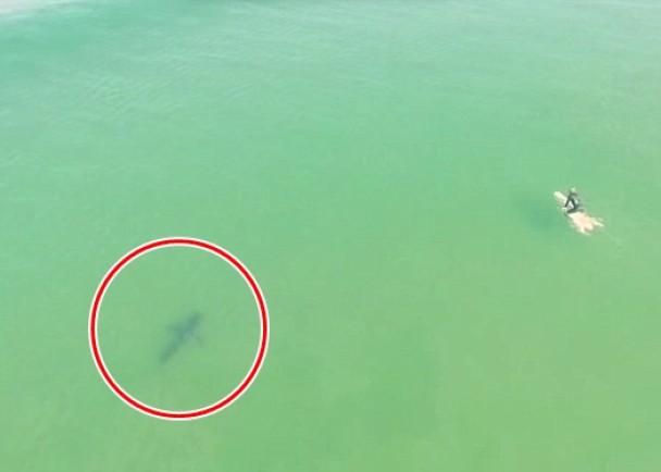 ����裨��Ȧʾ��һ�ȼ��ӽ�1�����˿�