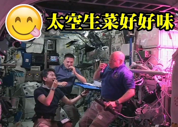 3��̫�����״ν�ʳ��̫�����ˡ���