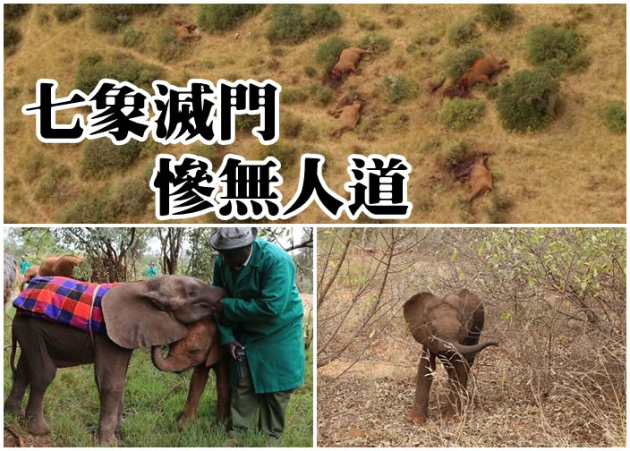 �Ҵ�³��ղ��� �����Ǵ���7������