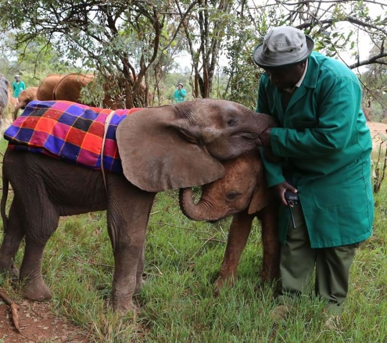 С���Ⱥ��ͽ�������Ա�չ�