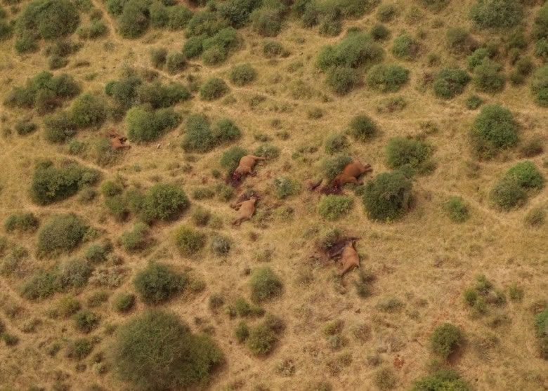 5���ʬ�������������