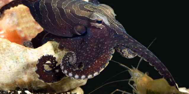 ��Щ���㲻�����԰���