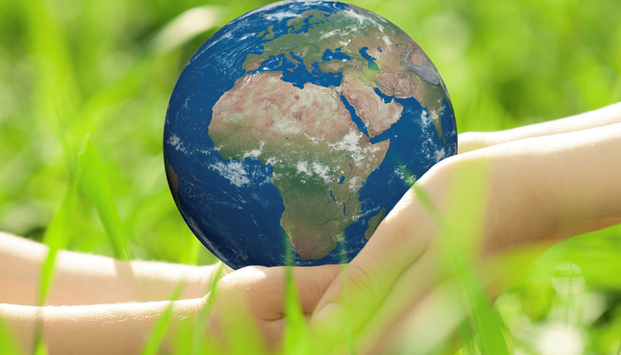 ����ʧȥ��β�͵ıڻ������ǵĵ��������������������ֲ�������������Իָ�������Դ���������տ����е�̼���øɾ���ˮ�ػغ����������͵�����ˮ�㡣����Щ������Ҫʱ�䡣