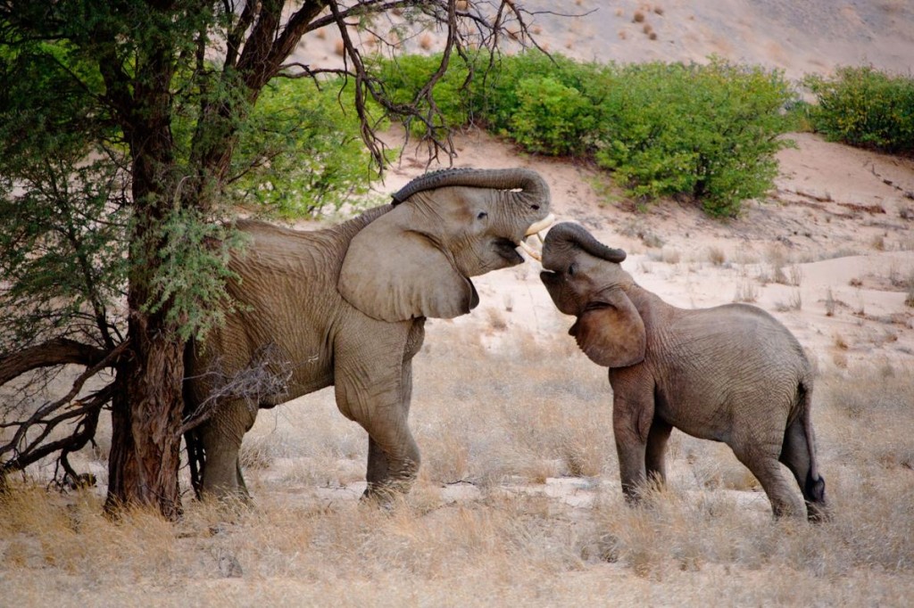 ���ױ��Ǵ��������Ĵ�������ˣ�� ���о���Ա���˼�ʮ��ʱ��۲���Щ���Ҳ�����������ĸ��ԡ������߿���‧������д���� Photograph by Mi