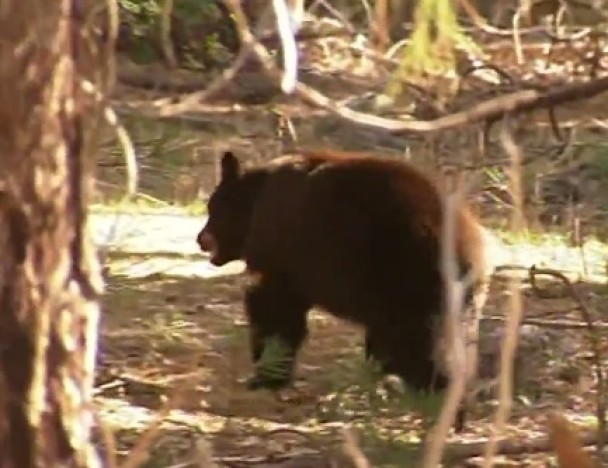 �������Ϊ���ݾ��������в