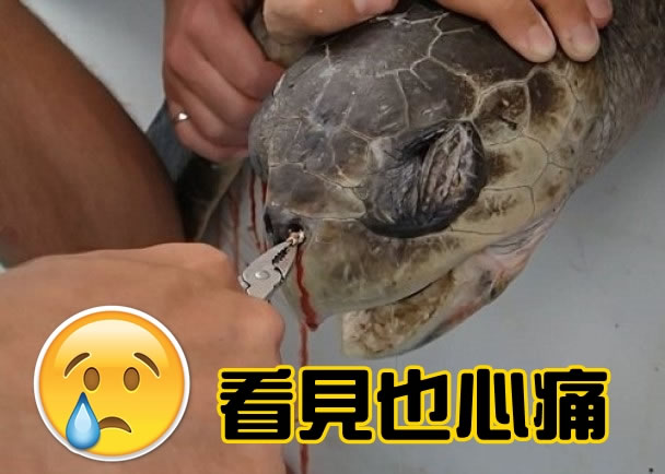 ������Ա��ǯ�������γ����ں���ǿ׵�����