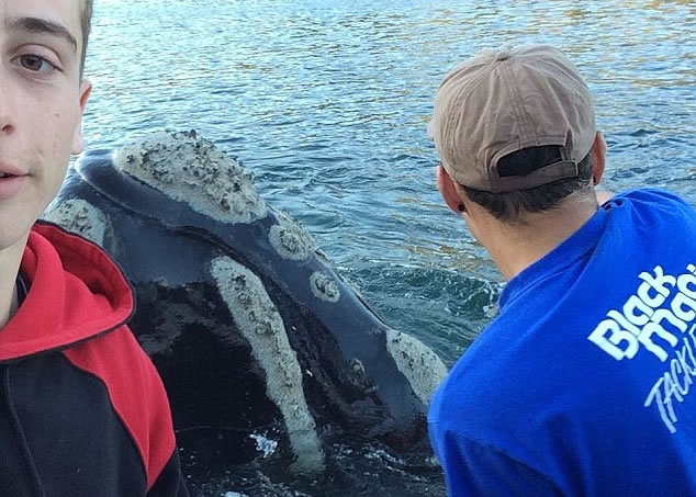 其中一个渔夫在帮助鲸鱼时,他的朋友同时自拍,放到社交网站。